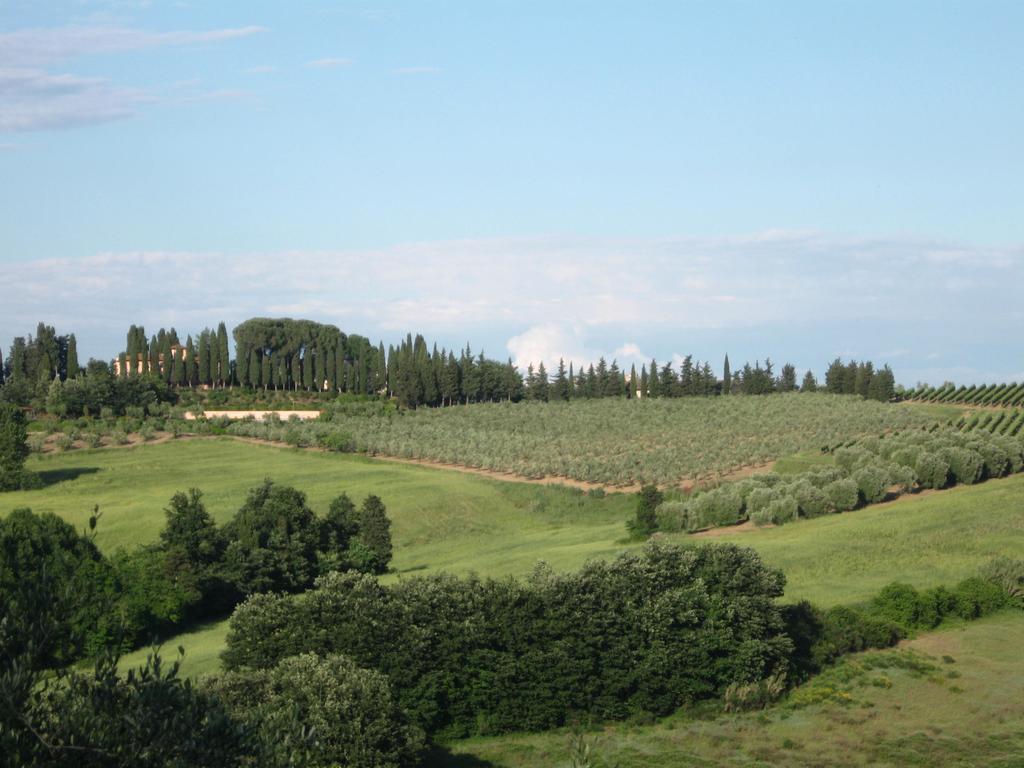 Agriturismo Vitalba Villa Montopoli in Val d'Arno Exterior photo